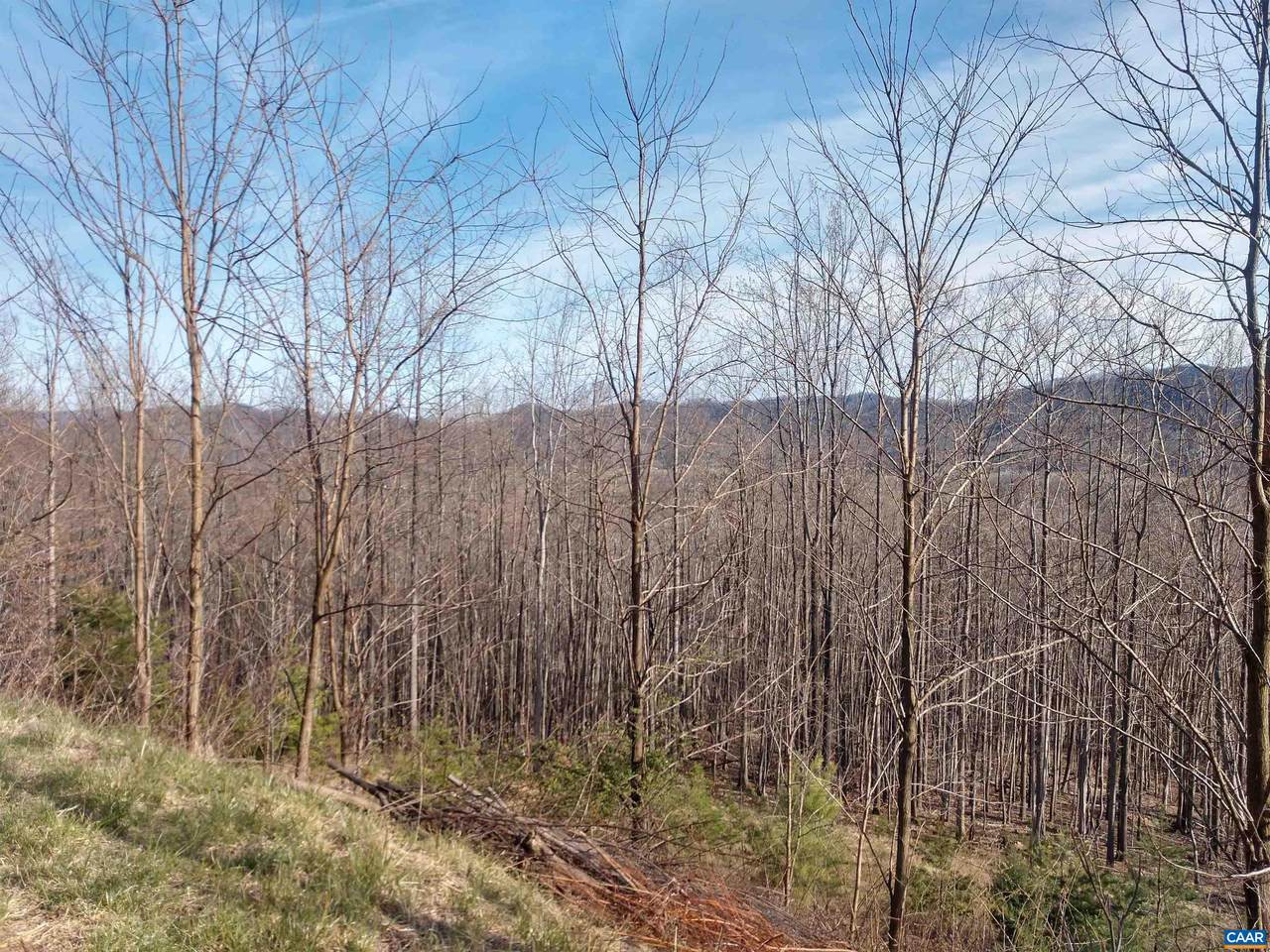0 Rockfish Heights Ln - Photo 1