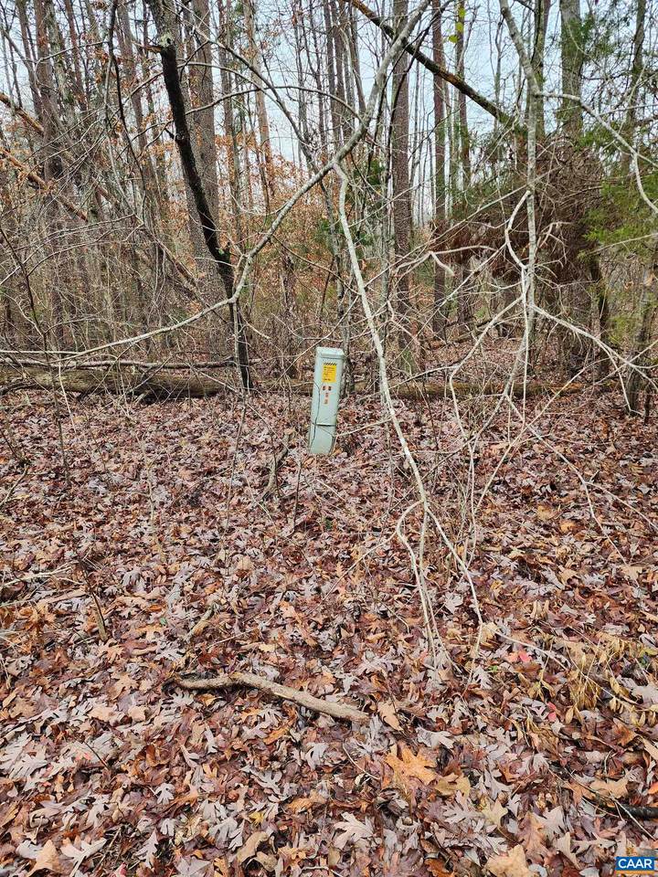 TBD Union Hill Rd - Photo 1