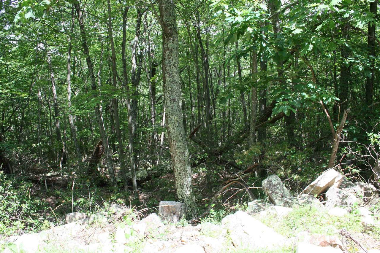 TBD High Valley South - Photo 1