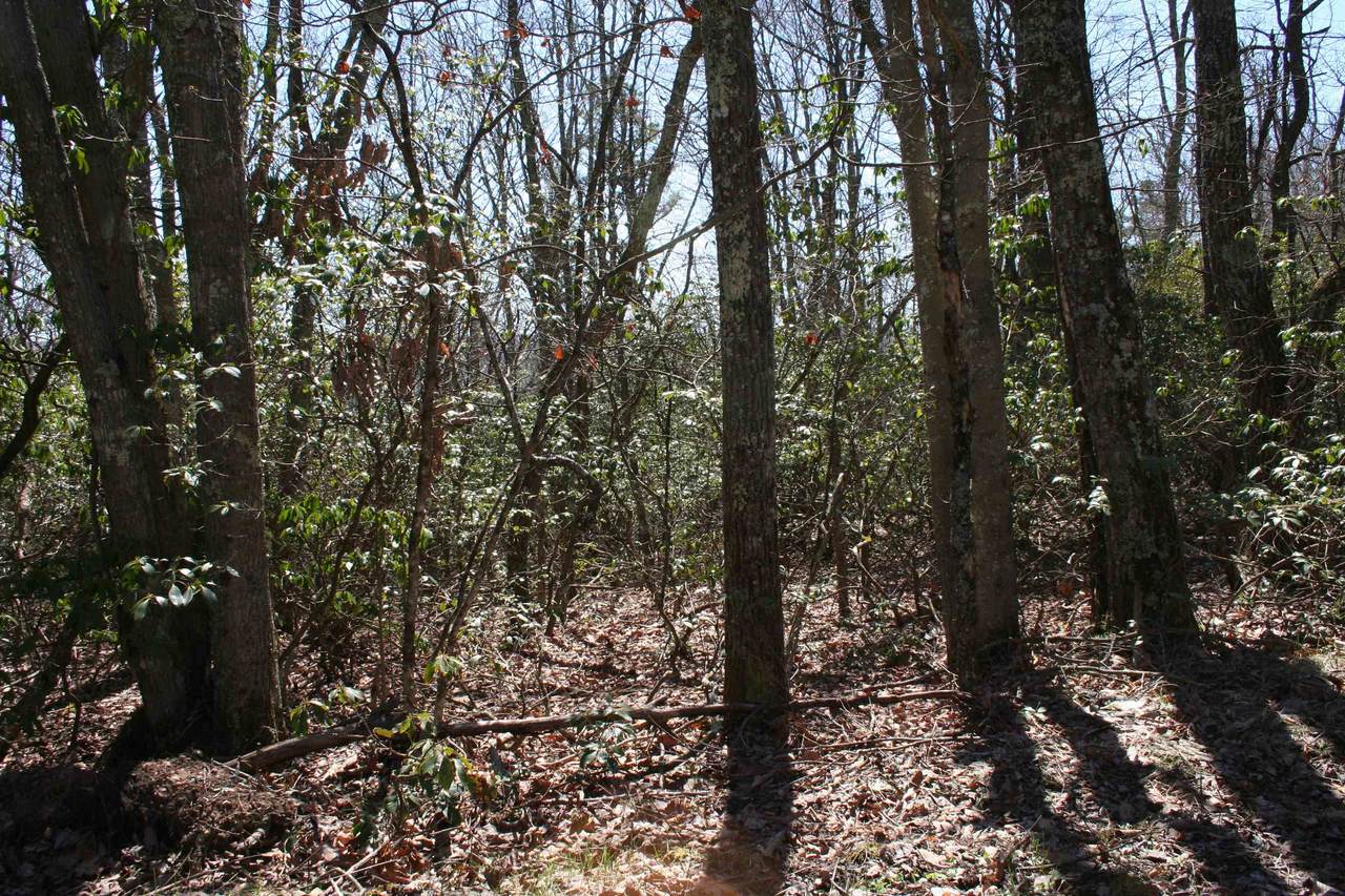 TBD Summit Dr. Summit Dr - Photo 1