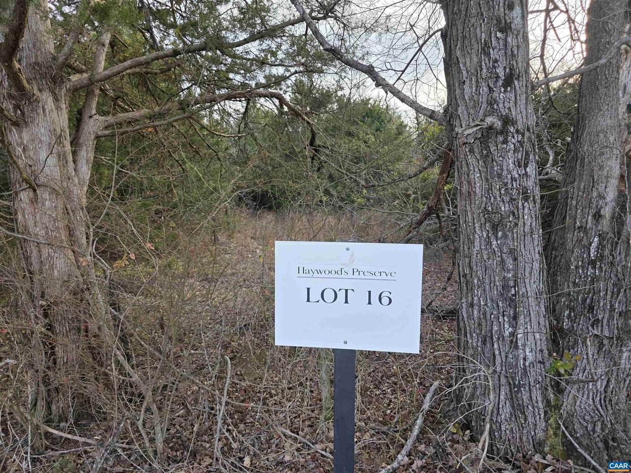 lot 16 Pea Ridge Rd - Photo 1