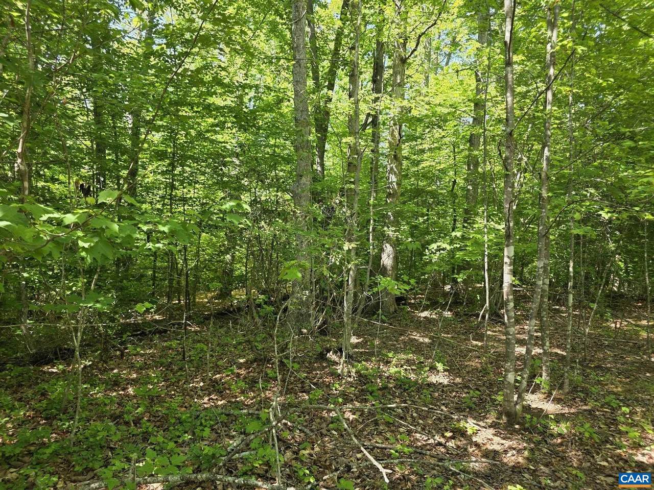 https://bt-photos.global.ssl.fastly.net/cville/1280_boomver_2_672988-2.jpg
