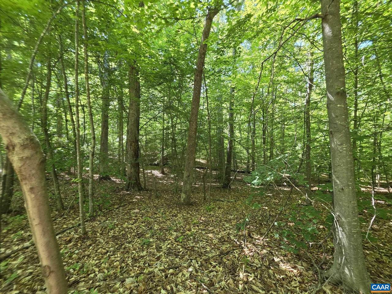 https://bt-photos.global.ssl.fastly.net/cville/1280_boomver_2_672989-2.jpg