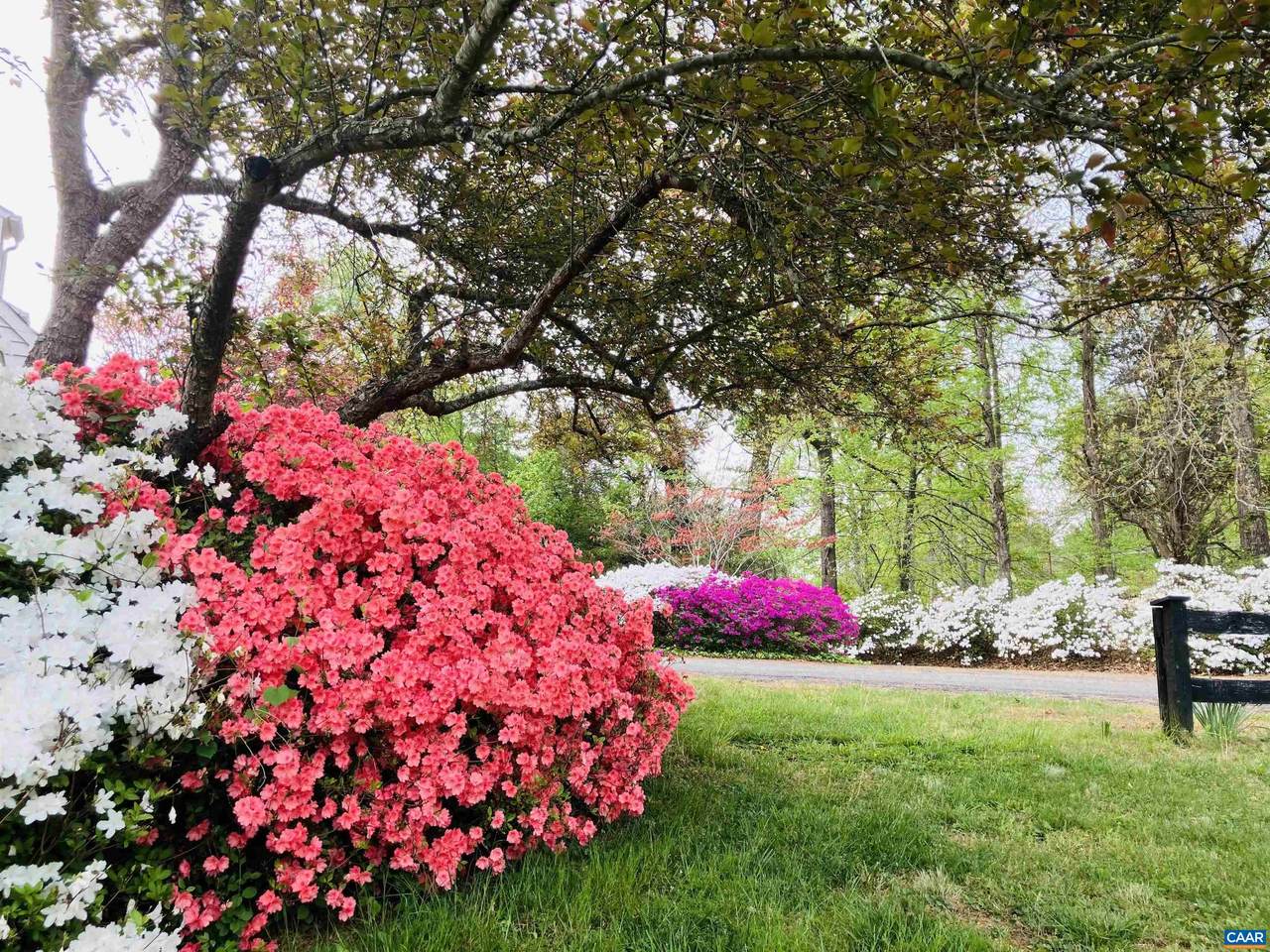 https://bt-photos.global.ssl.fastly.net/cville/1280_boomver_2_674144-2.jpg