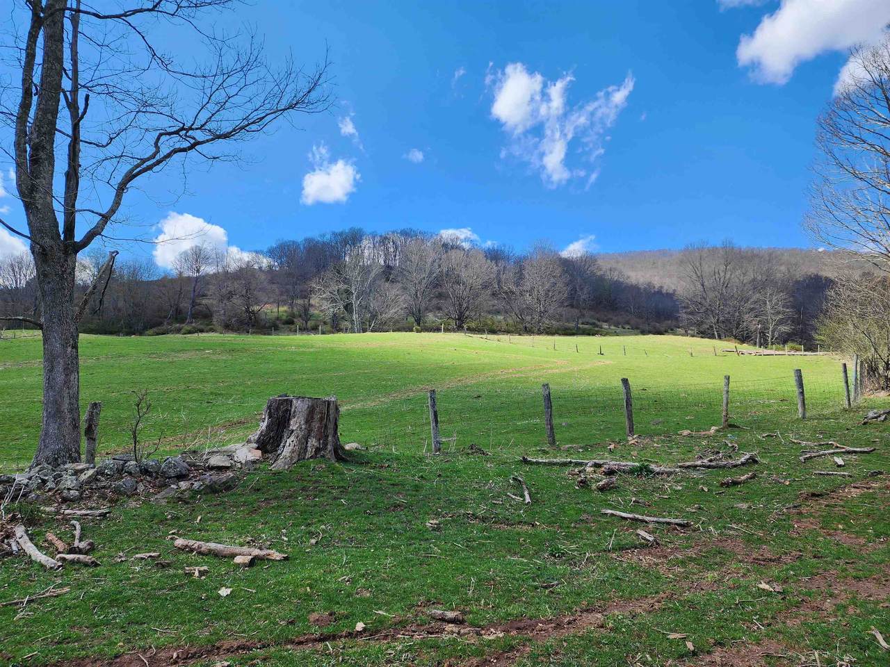 3356 Jackson River Rd - Photo 1