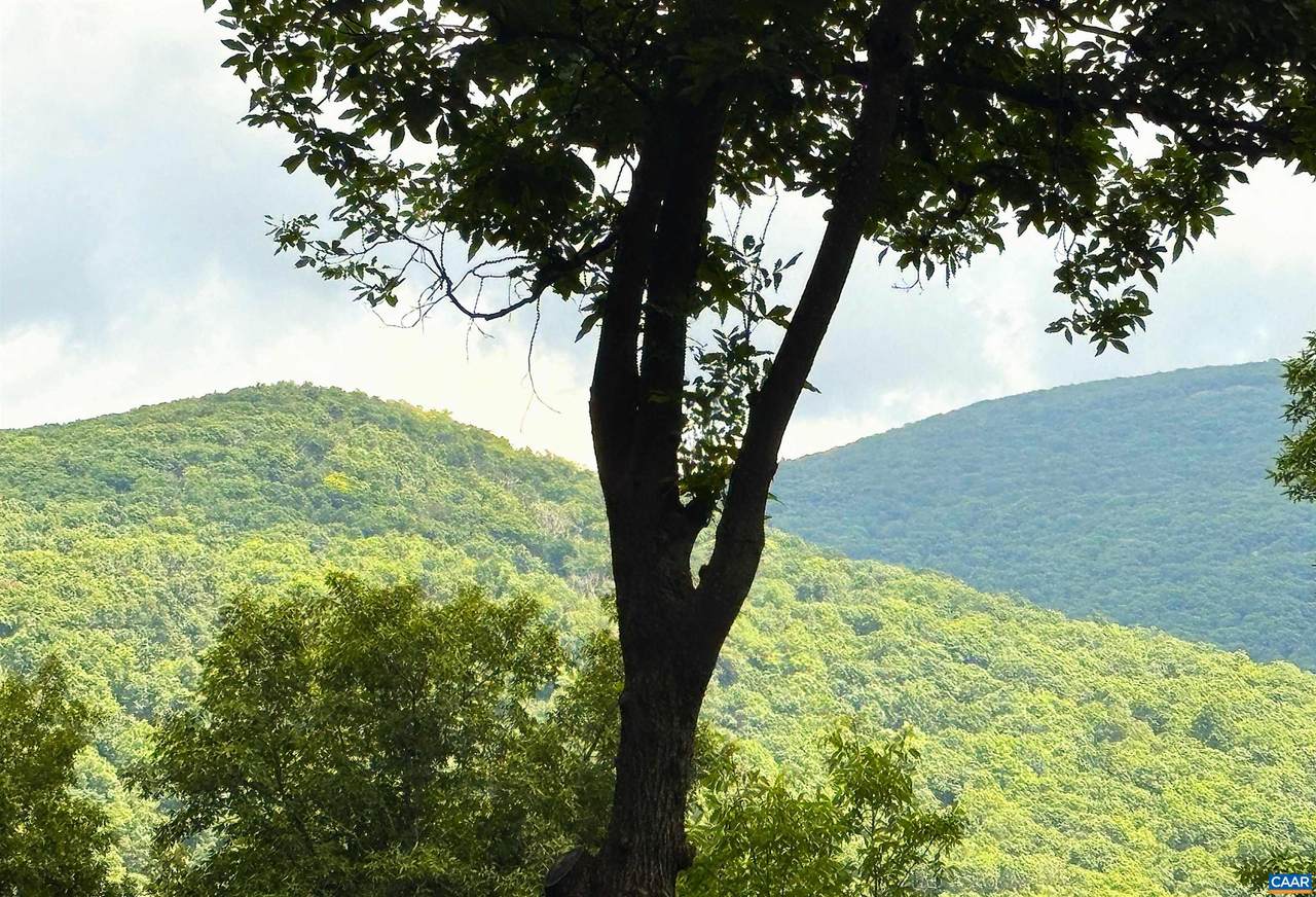 https://bt-photos.global.ssl.fastly.net/cville/1280_boomver_2_680596-2.jpg