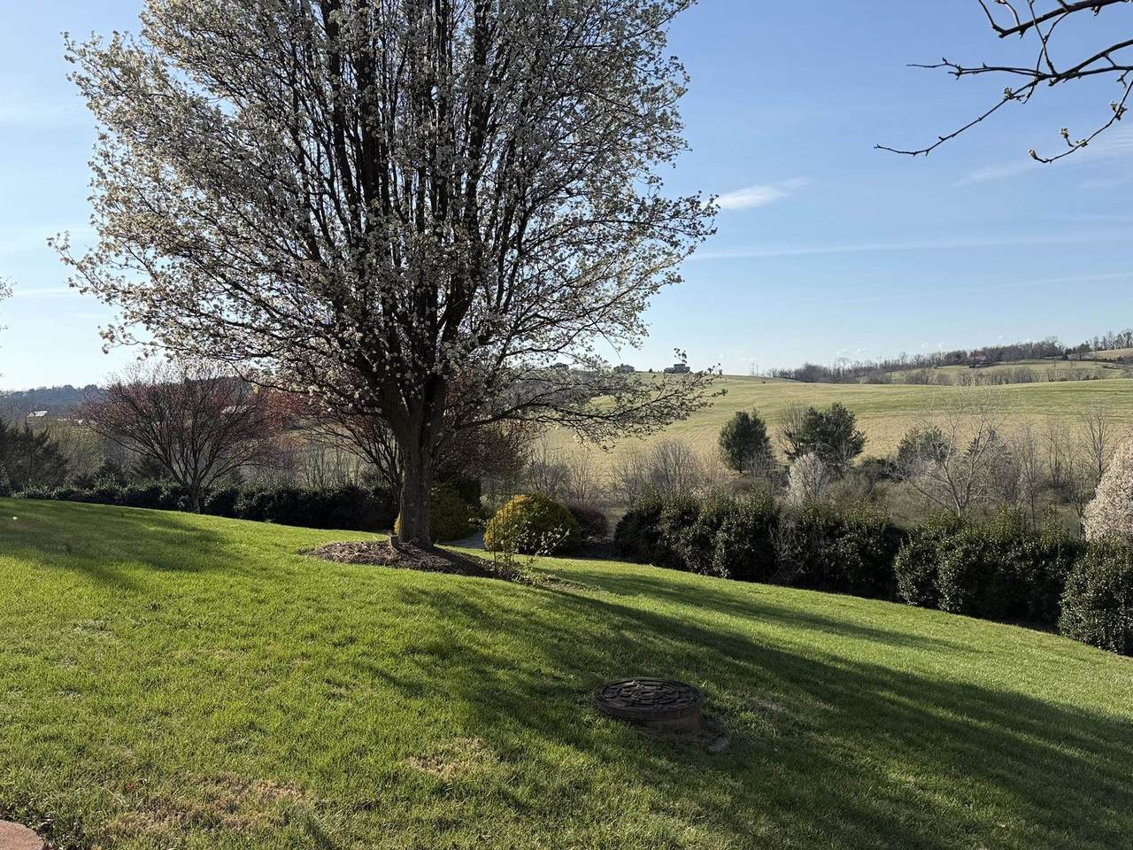 https://bt-photos.global.ssl.fastly.net/cville/1280_boomver_3_671167-2.jpg