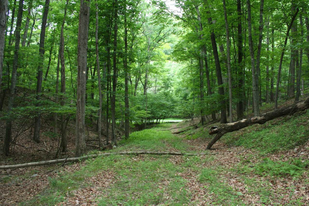 20 High Valley South - Photo 1