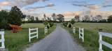 5902 Patriot Hwy - Photo 15