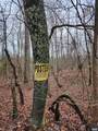 TBD Union Hill Rd - Photo 2