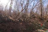 150 Shamokin Springs Trl - Photo 4