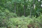 20 High Valley South - Photo 5