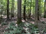 Lot1 Green Creek Rd - Photo 1