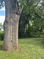315 Caroline Ave - Photo 15
