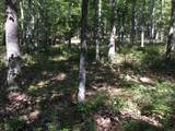 TBD Hinkle Mountain Rd - Photo 6