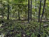TBD Shamokin Springs Trl - Photo 10