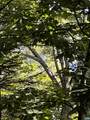 TBD Shamokin Springs Trl - Photo 5
