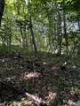 TBD Shamokin Springs Trl - Photo 6