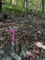 TBD Shamokin Springs Trl - Photo 7