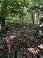 TBD Shamokin Springs Trl - Photo 8