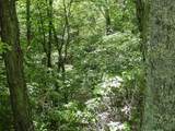 TBD High Valley South - Photo 4