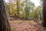 0-22.72 ac Dry Run Rd - Photo 8