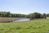 14560 Madison Run Rd - Photo 13