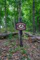 587 Bunker Hill Mill Rd - Photo 21