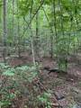  Glade Rd - Photo 1