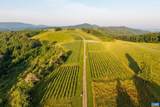 24981 Blue Ridge Pkwy - Photo 11