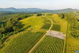 24981 Blue Ridge Pkwy - Photo 12