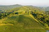 24981 Blue Ridge Pkwy - Photo 57