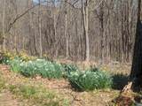 2005 Upper Stony Run - Photo 11