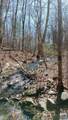 2005 Upper Stony Run - Photo 59