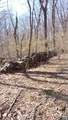 2005 Upper Stony Run - Photo 60