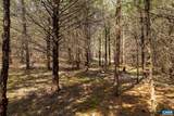 1280 Jones Overlook - Photo 3