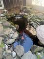 7035 Blackwells Hollow Rd - Photo 8