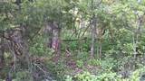 983 Williamstown Rd - Photo 39