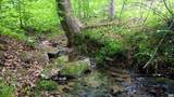 983 Williamstown Rd - Photo 42