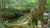 983 Williamstown Rd - Photo 43