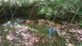 983 Williamstown Rd - Photo 44