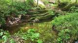 983 Williamstown Rd - Photo 45