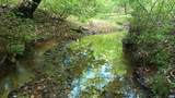 983 Williamstown Rd - Photo 49