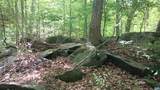 983 Williamstown Rd - Photo 51