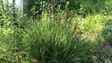 983 Williamstown Rd - Photo 57