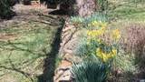 983 Williamstown Rd - Photo 60