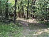 5878A Buffalo River Rd - Photo 2