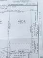 5878A Buffalo River Rd - Photo 3
