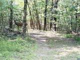 5878A Buffalo River Rd - Photo 7