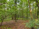Lot 22 Mountain Laurel Rdg - Photo 8